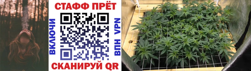 Купить наркотик Бузулук Галлюциногенные грибы  A-PVP  hydra ссылки  КОКАИН  Гашиш  Меф мяу мяу 