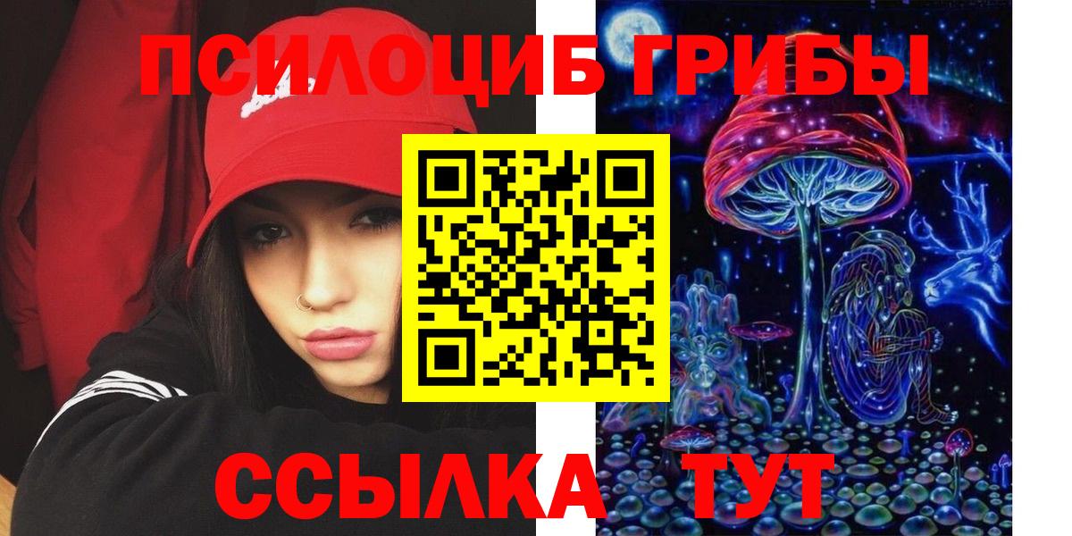 Галлюциногенные грибы Psilocybine cubensis  Вход с VPN  Бузулук 